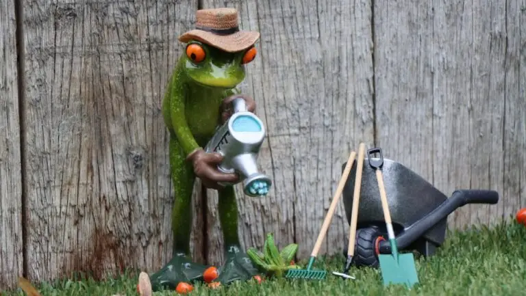 casting, gardening, gardener, garden service, garden maintenance, work, nature, workplace, spade, put, watering can, garden subscription, horticulture, plants, kalendarz permakultury, kalendarz prac permakulturowych 