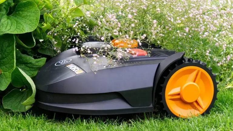 robotic lawnmower, robot, autonomous, mow, grass, lawn mower, garden, lawn, automatically, lawn robot, service robot, gardening, nature, garden maintenance, landscape, green, smart home, smart garden, artificial intelligence, mower, technology, robotic lawnmower, robotic lawnmower, robotic lawnmower, lawn mower, lawn mower, lawn mower, lawn mower, lawn mower, smart home, smart home, artificial intelligence, artificial intelligence, artificial intelligence, mower