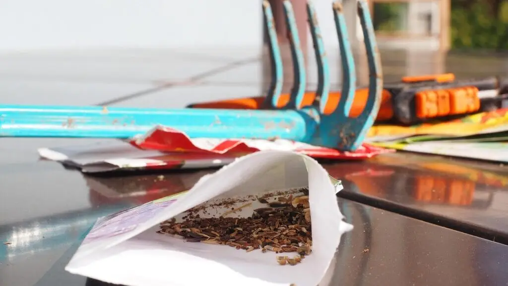 gardening, seeds, sowing, sow, rake, flower seeds, seed mix, rake, rake, rake, rake, rake, sezon ogrodniczy 2026