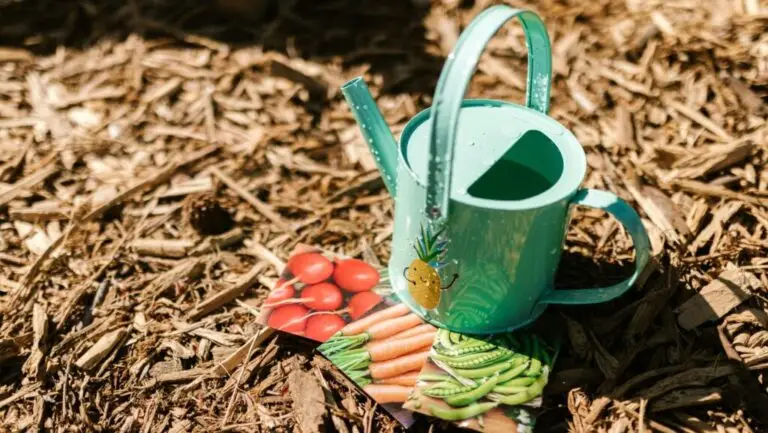 Colorful watering can and seed packets on mulch, perfect for gardeners, sezon ogrodniczy 2026