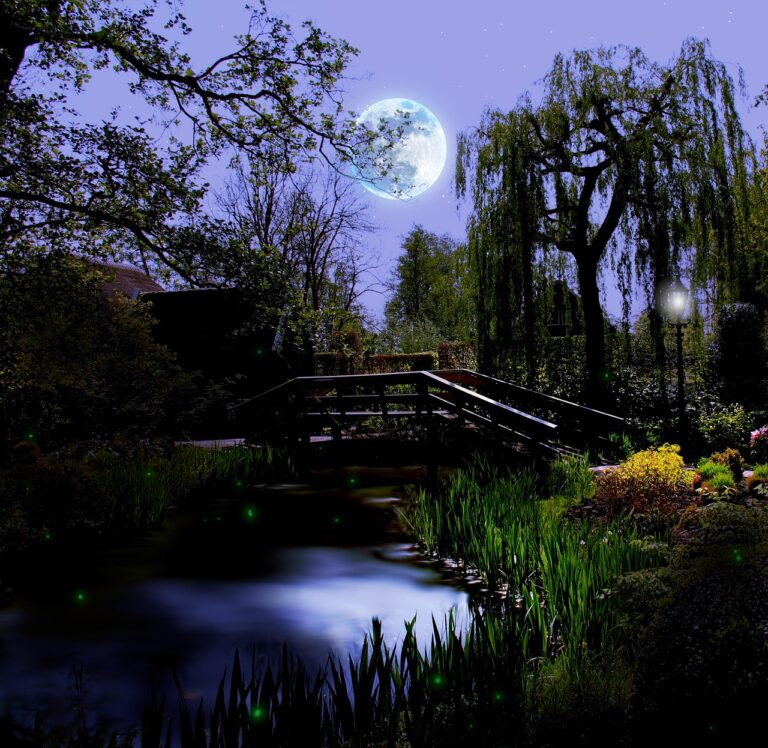 night, nature, garden, moon lightn, dark, landscape, bridge, darkness, moon garden