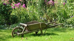 wheelbarrow, nature, garden, vegetable garden, gardening, field, gardener, ogród biocenotyczny rośliny