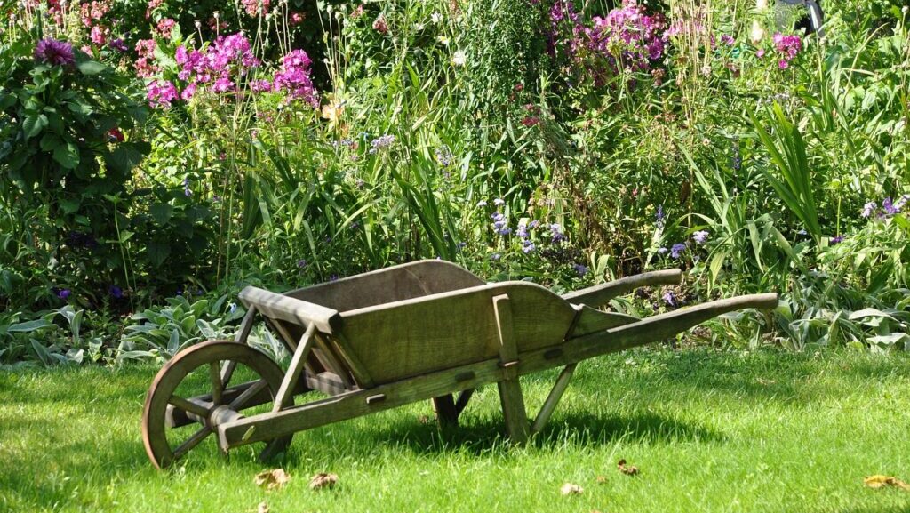 wheelbarrow, nature, garden, vegetable garden, gardening, field, gardener, ogród biocenotyczny rośliny