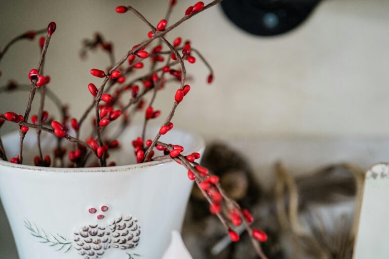 Close-up of festive red berries and twigs in a decorated ceramic pot, perfect for winter decor, 
dogwood in a vase