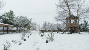 A serene winter landscape featuring a snow-covered tree house and garden path, garden in winter