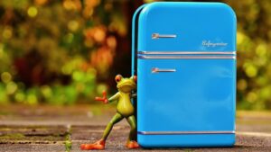frog, refrigerator, blue, figure, fun, frogs, cute, refrigerator, refrigerator, refrigerator, refrigerator, refrigerator, lodówka bez prądu DIY
